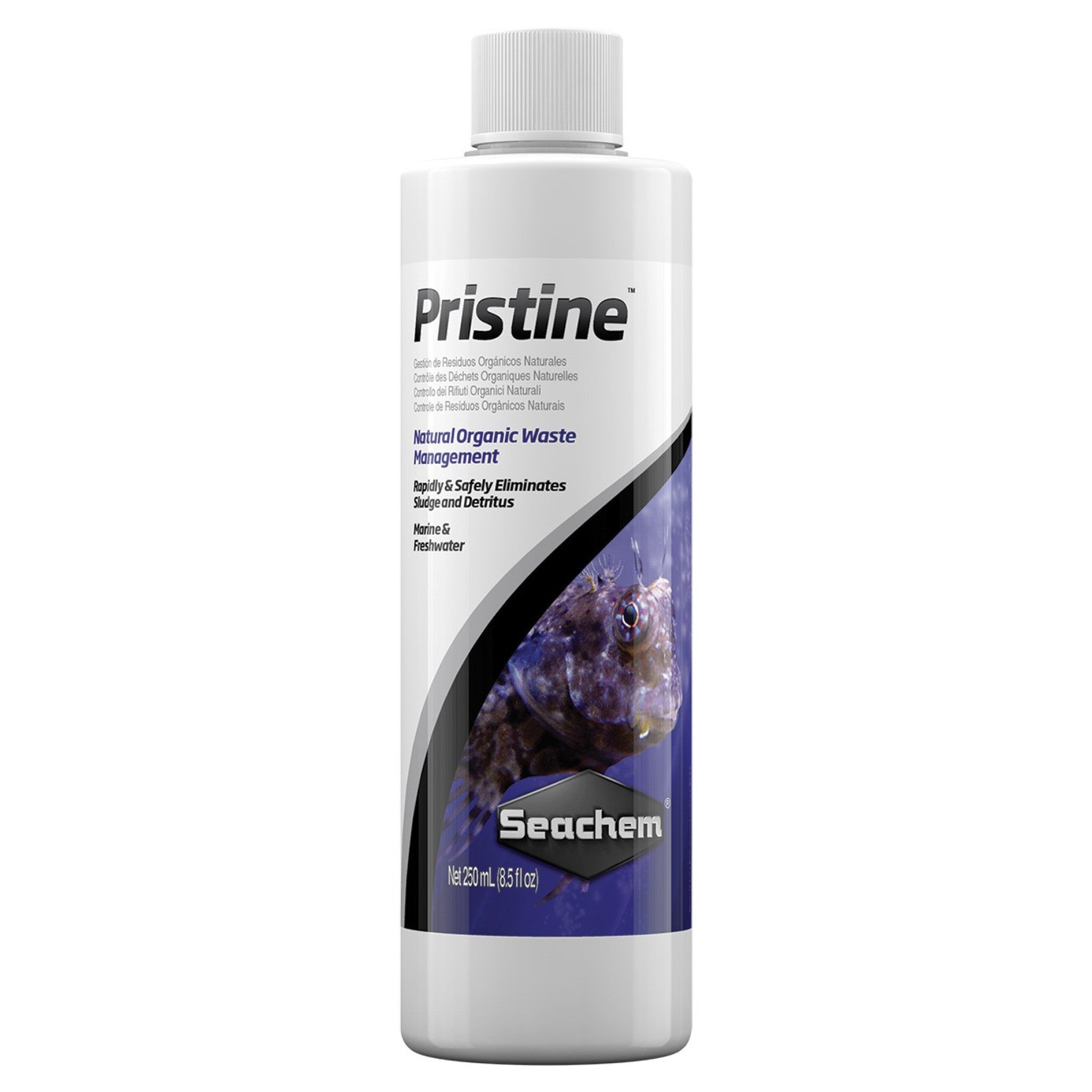 seachem pristine aquarium bacteria TaraPet