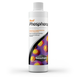seachem reef phosphorus dosing TaraPet